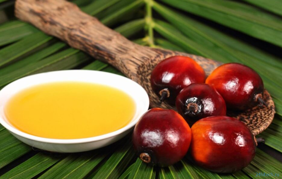 Что такое пальмовое масло? 