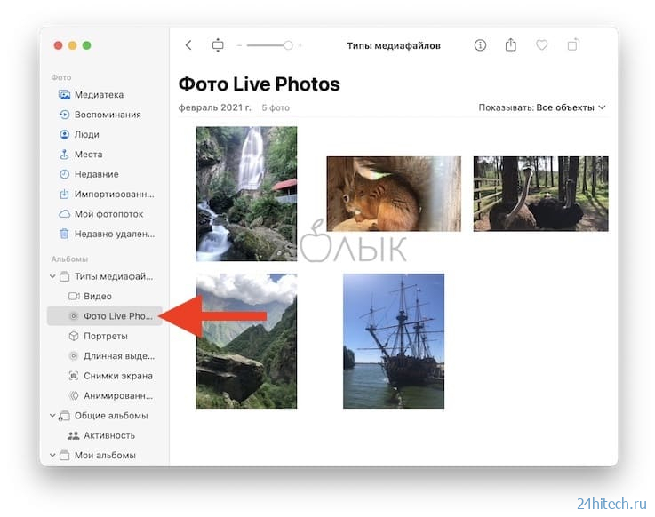 Как поделиться Живыми фото (Live Photos) на iPhone, Mac, Android и Windows
