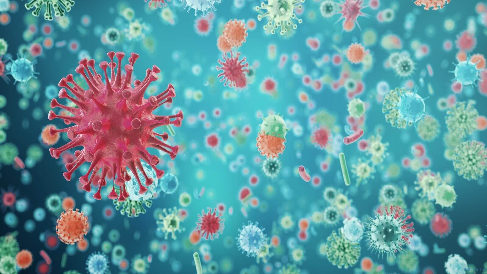 Почему появление еще одного коронавируса – вопрос времени? 