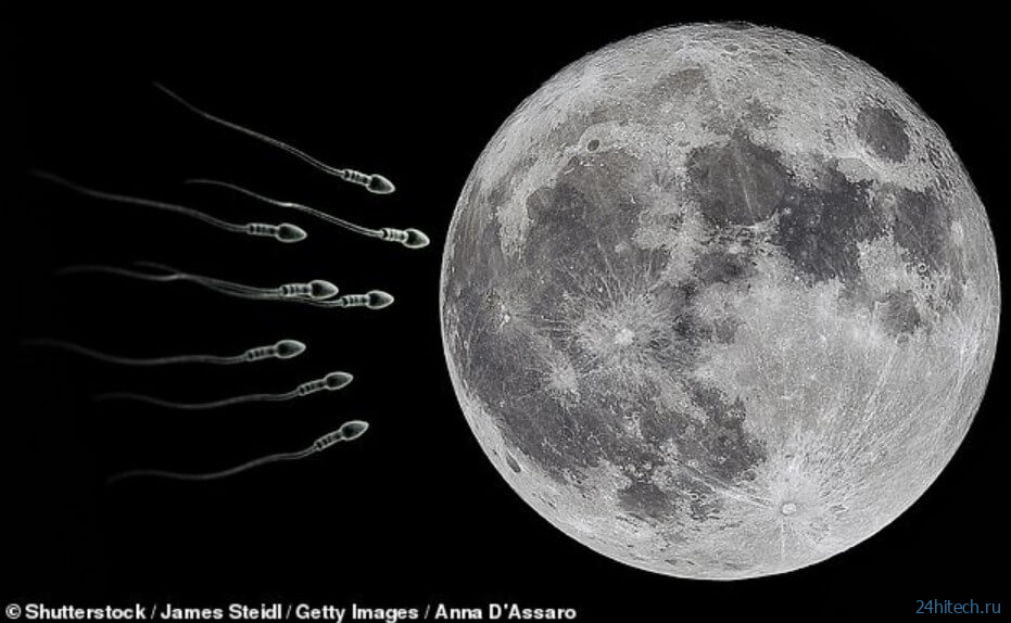 На Луне хотят построить склад с генами животных. Для этого потребуется 250 ракет 