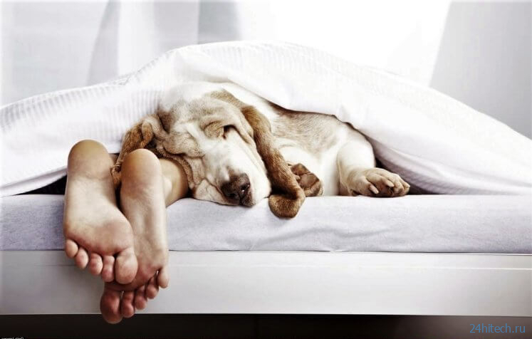 Синдром задержки фазы сна – причина, по которой некоторые люди не могут вставать по утрам 