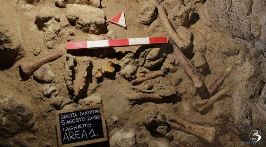 Найдена пещера, в которой неандертальцы стали жертвами диких зверей 
