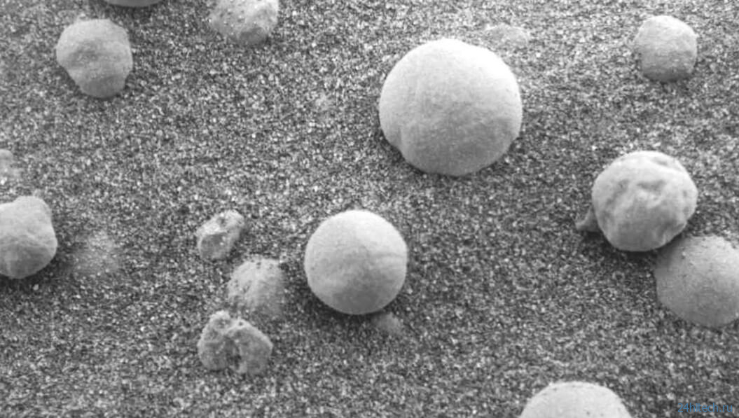 На фотографиях Марса обнаружены грибы и плесень. Правда ли это? 