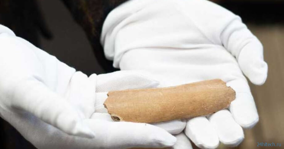 В Чехии найдена древняя кость с загадочными надписями. Что это такое? 