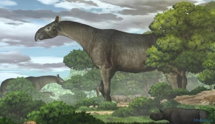 Какими были индрикотерии — одни из самых крупных млекопитающих в истории Земли? 