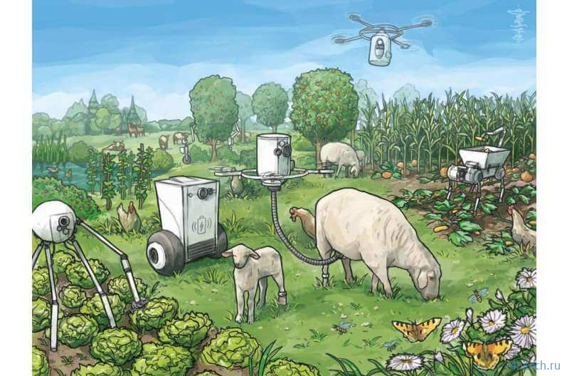 Утопия или антиутопия — по какому пути поведут человечество фермерские роботы? 