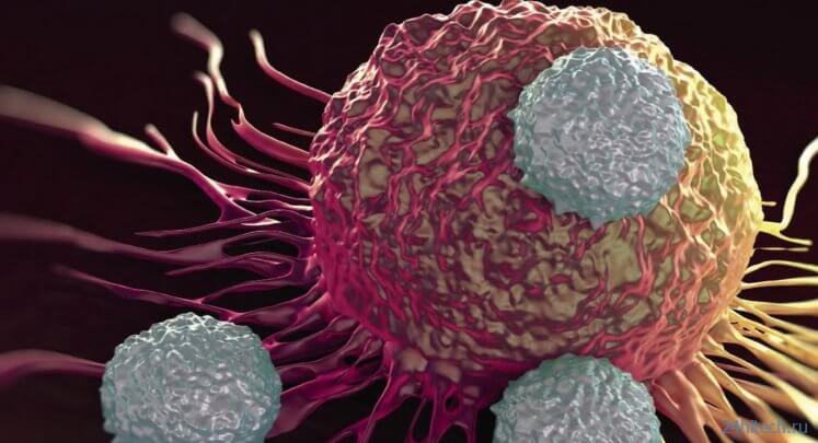 Лечение рака мРНК вакцинами поможет при агрессивных формах онкологии 