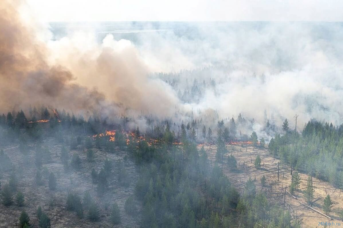 Какие климатические последствия повлекут за собой пожары в Сибири? 
