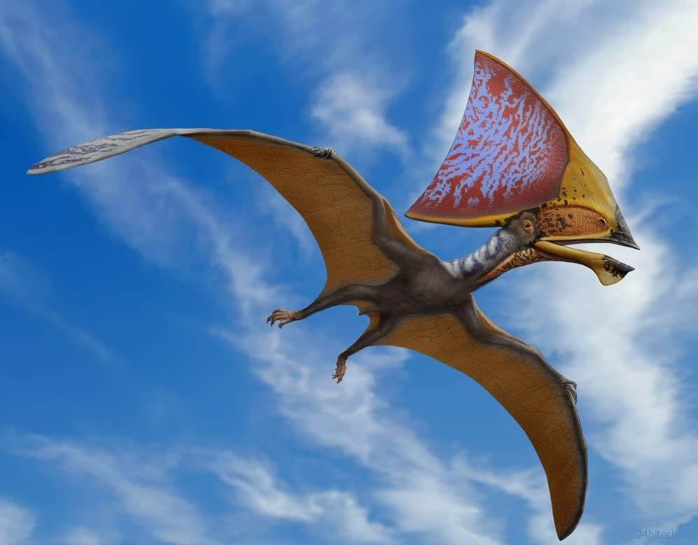 Найденная благодаря полиции окаменелость раскрыла секреты доисторических летающих рептилий 