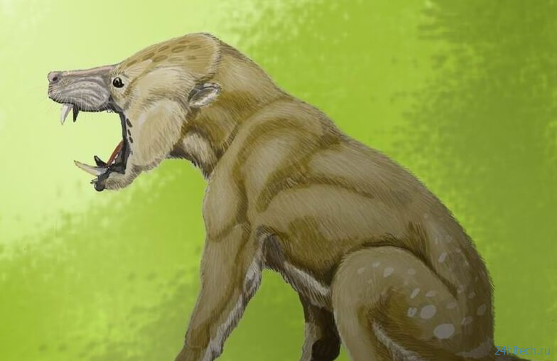 Почему древнего зверя назвали в честь персонажа «Хоббита»? 