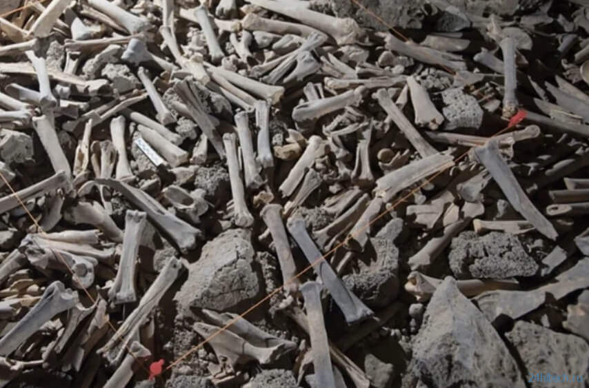 В Саудовской Аравии найдена жуткая пещера с кучей костей 