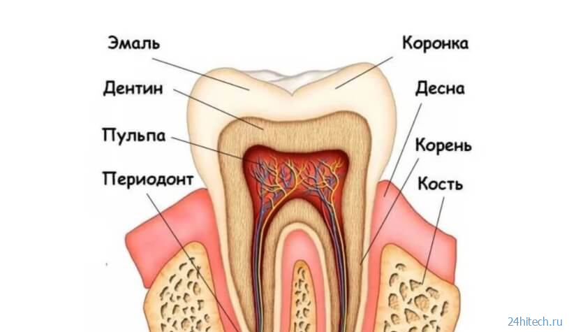 Как отбеливатели для зубов приводят к их разрушению? 