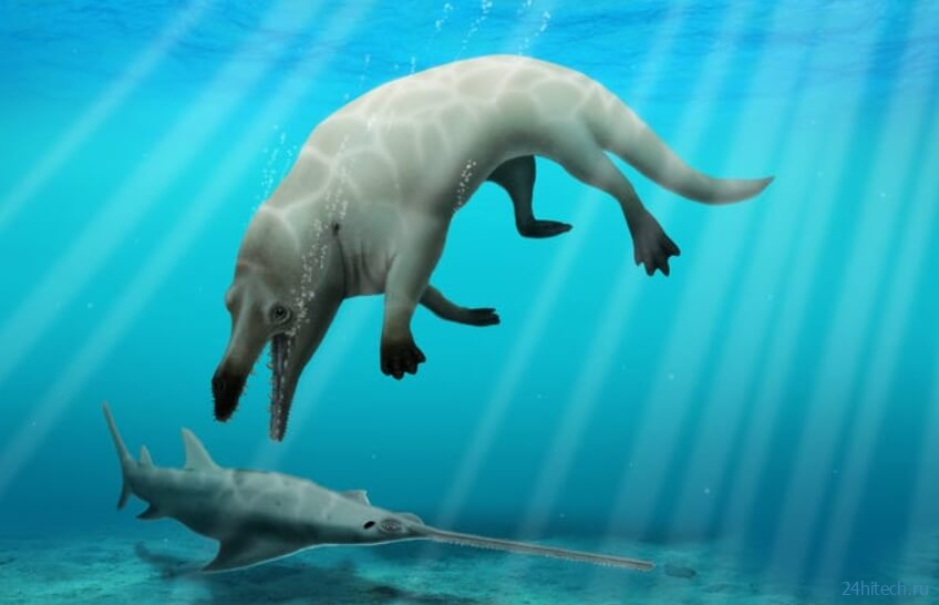 В Египте найдены кости древнего кита с четырьмя лапам 