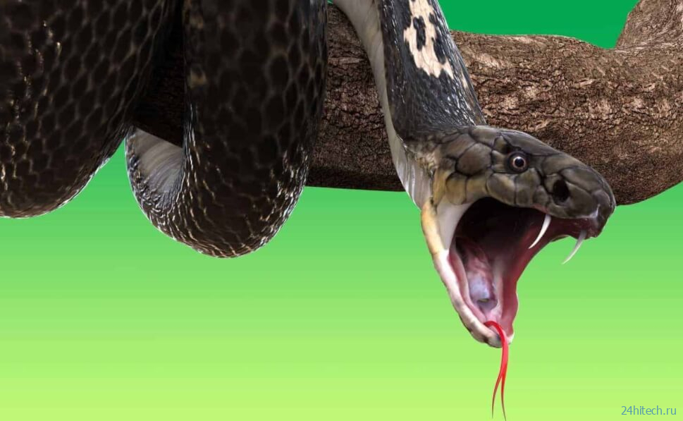 Клыки древних змей не были опасными. Как в них появился яд? 
