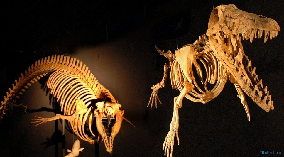 В Египте найдены кости древнего кита с четырьмя лапам 