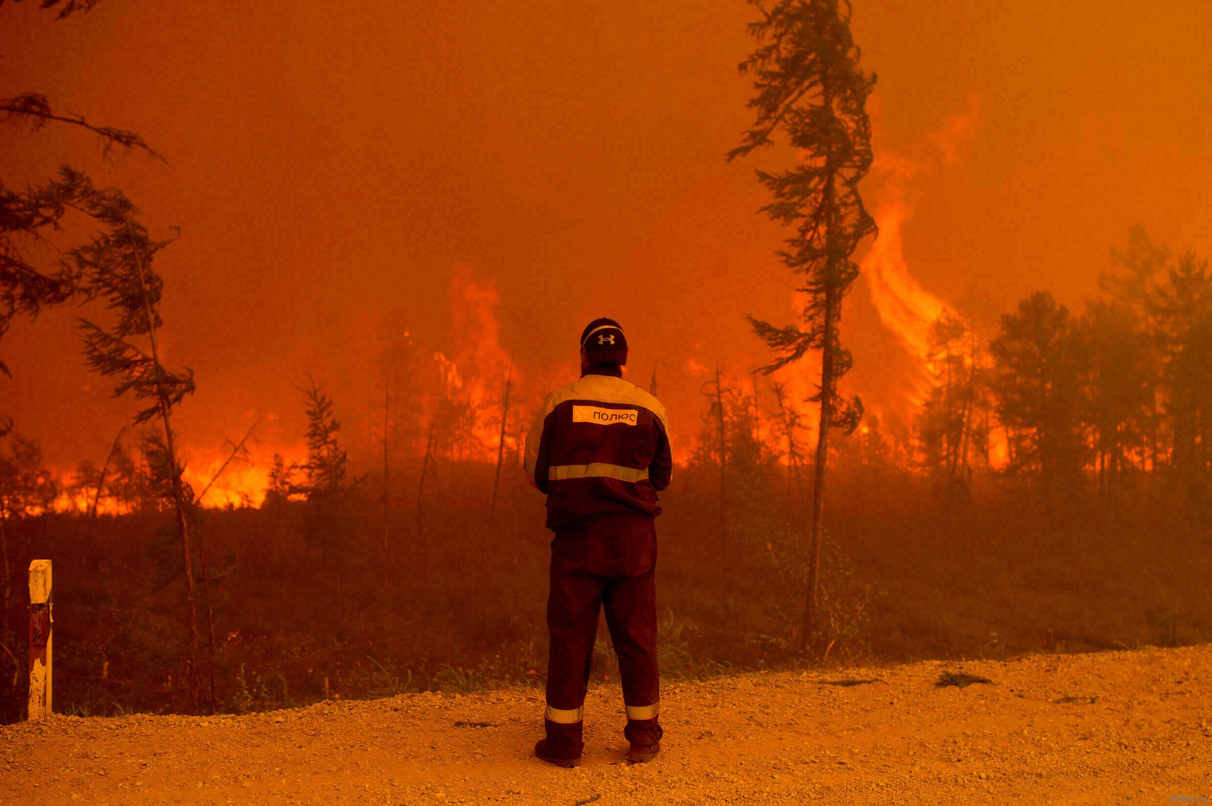 Какие климатические последствия повлекут за собой пожары в Сибири? 