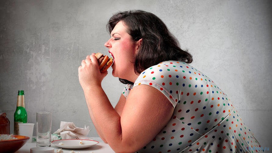 Почему бурый жир необходим для нормальной работы мозга 