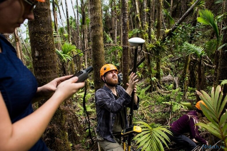 Тропические леса адаптированы к ураганам, но изменение климата может их уничтожить 
