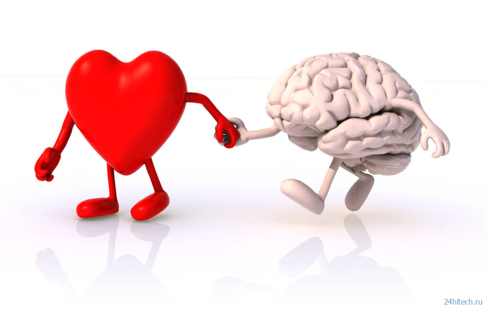 Как сердце заставляет мозг отключаться и делает нас глупее 