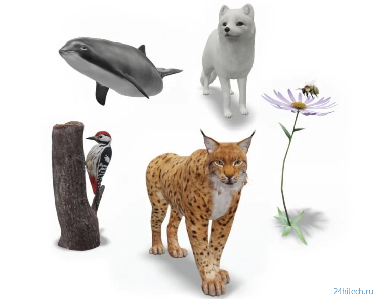 В Google появились новые 3D-животные. Как смотреть на Android