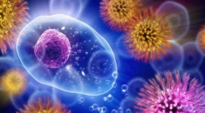 Ученые нашли способ как научить иммунитет бороться с раком 