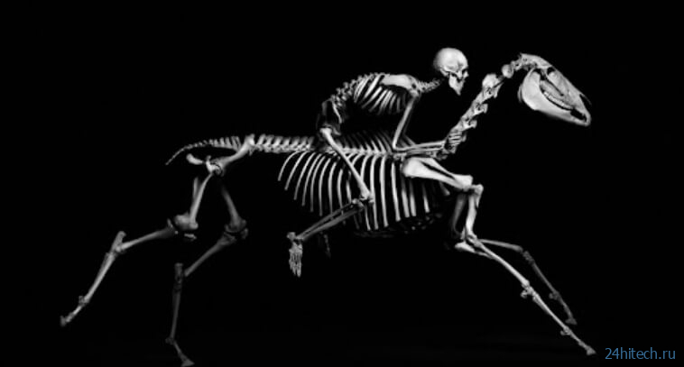 Все скелеты в животном мире можно поделить на четыре типа — какие они и почему такими возникли? 