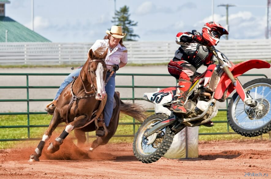 Что опаснее: езда на лошади или на мотоцикле? 