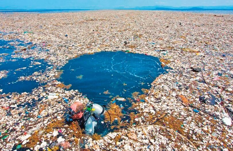 Как работает самая лучшая система очистки океана от мусора? 