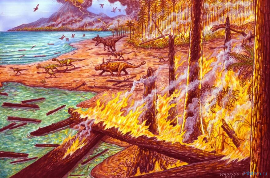 Миллионы лет назад в Антарктиде горели леса. Как такое возможно? 