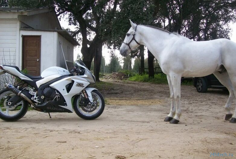 Что опаснее: езда на лошади или на мотоцикле? 