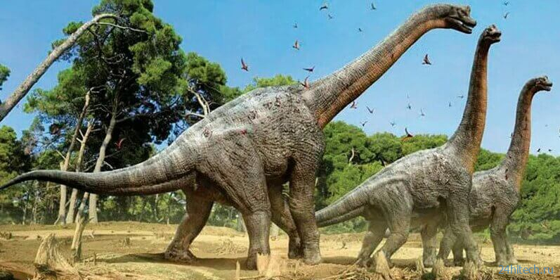 Социальное поведение первых динозавров помогло им пережить массовое вымирание 