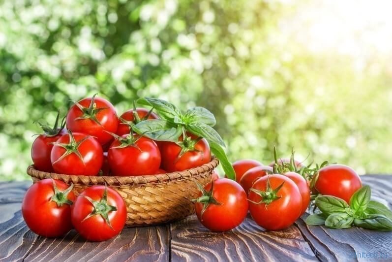 Ученые обнаружили у томатов ген, который влияет на гниение плода 