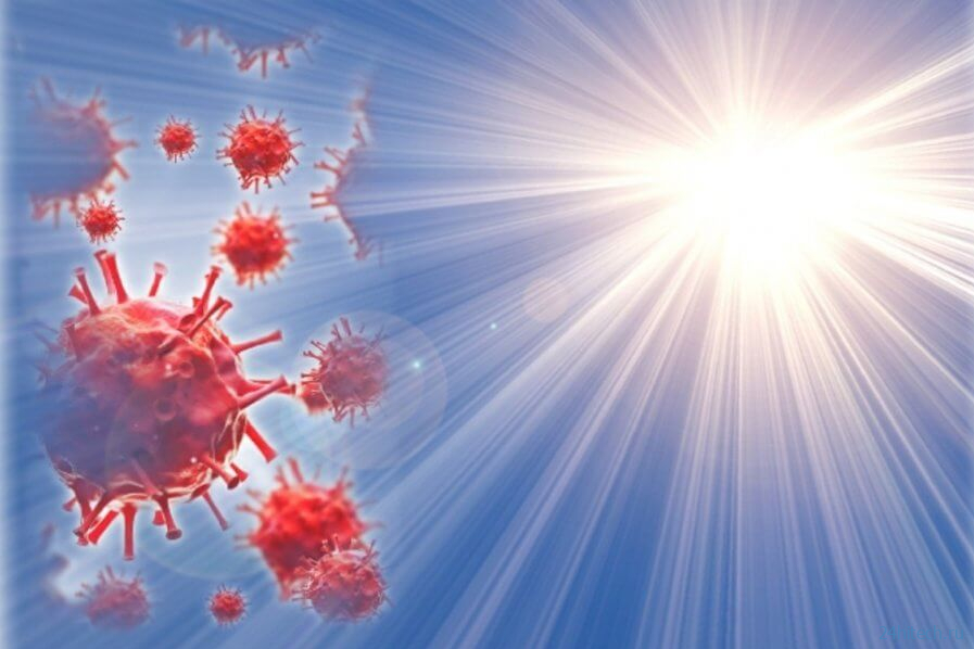 Ученые создали безопасный светильник для инактивации коронавируса 