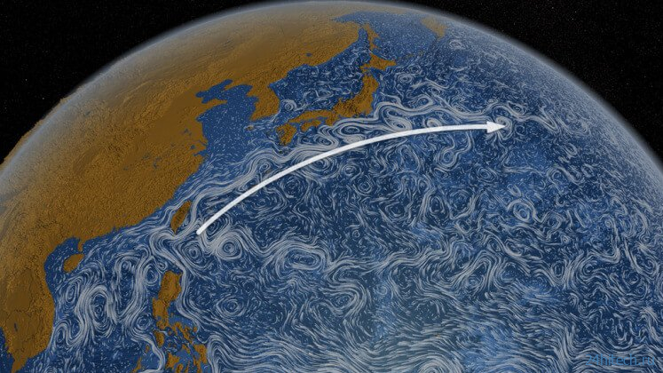 Океаническое течение Куросио может сильно нагреться и сместиться на север в ближайшем будущем 