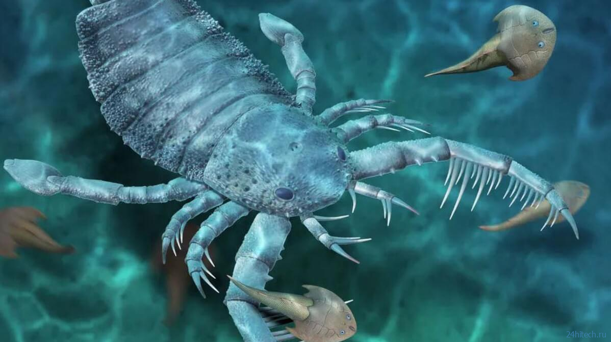 В Китае нашли окаменелости гигантского морского скорпиона 