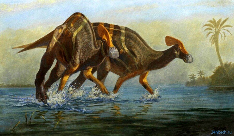 Пять самых необычных динозавров, обнаруженных в 2021 году 