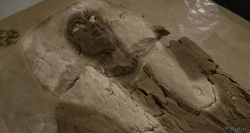 Удивительное открытие археологов — египетский мумифицированный царь оказался принцессой 