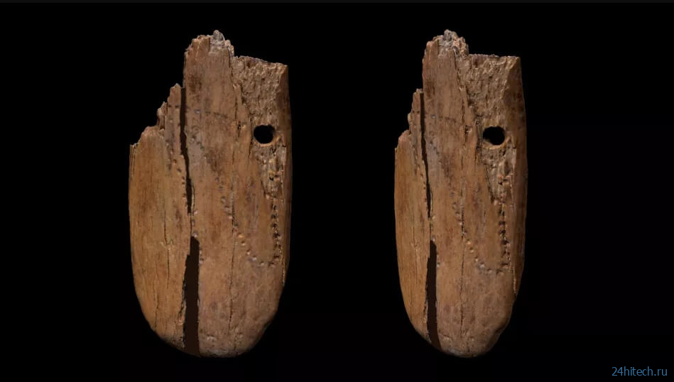 В Польше нашли украшения кроманьонцев возрастом более 40 тысяч лет 