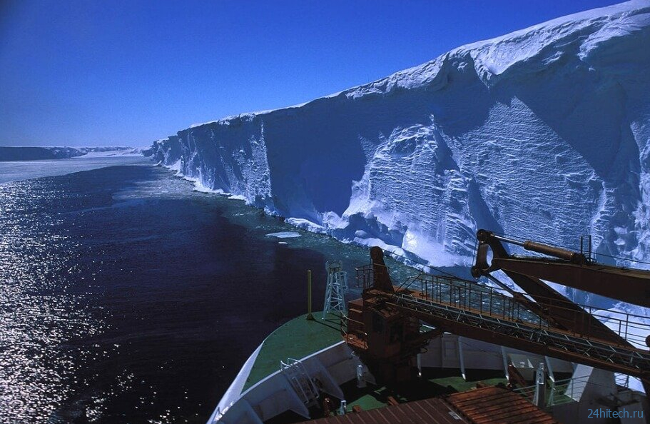 Под Антарктикой найдено «шокирующее изобилие» живых организмов 