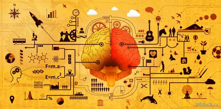 Что такое нейропластичность и почему ученые по-прежнему не могут понять, как работает мозг? 