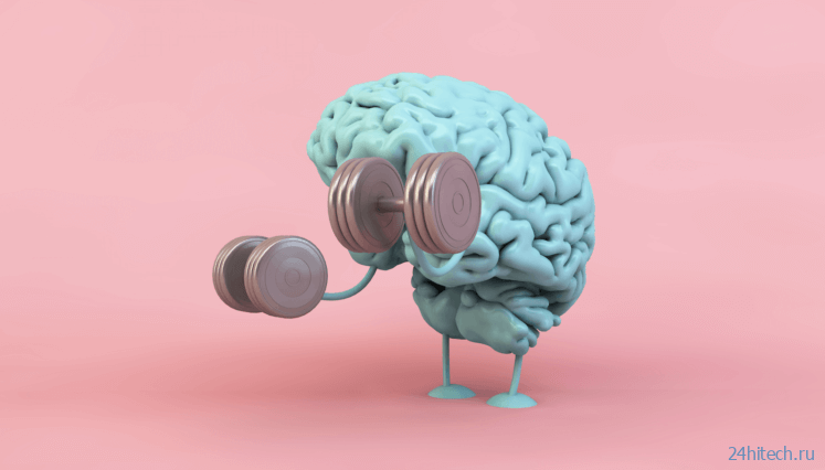 Что такое нейропластичность и почему ученые по-прежнему не могут понять, как работает мозг? 