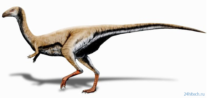 Что известно о новом беззубом динозавре из Бразилии? 