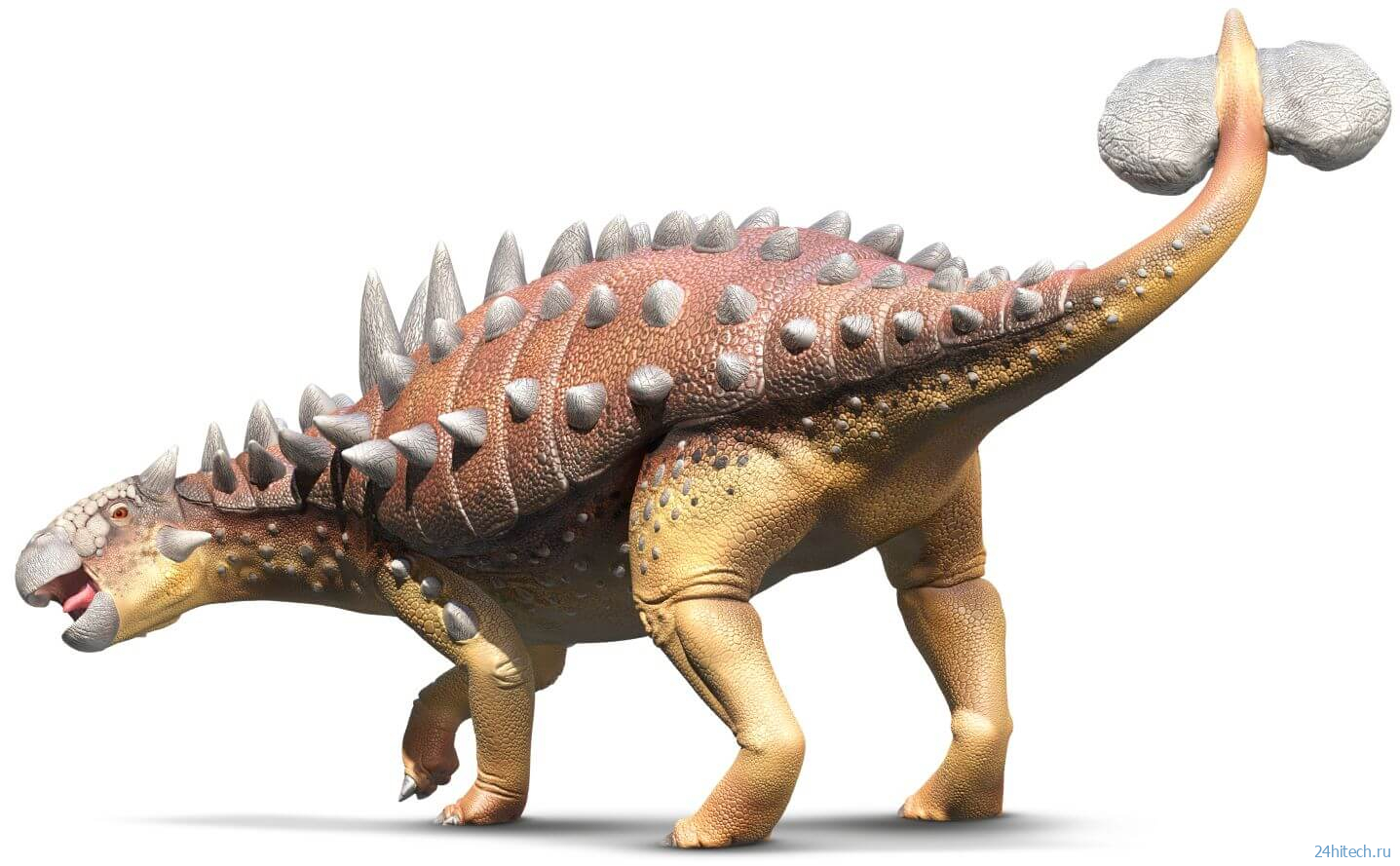 Окаменелое существо, найденное на юге Чили, имеет странное сочетание черт двух динозавров 