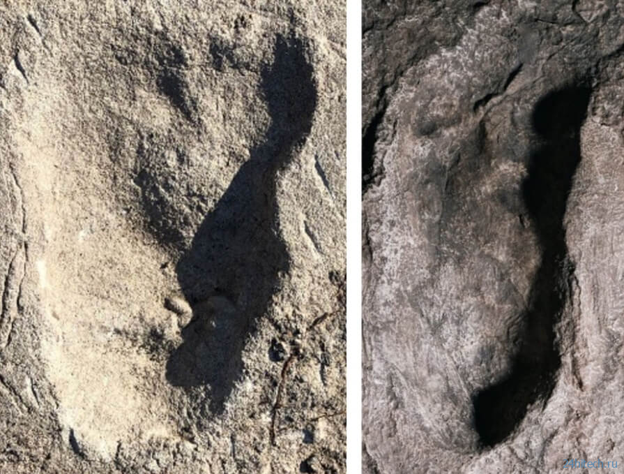 В Танзании нашли следы предположительно древних людей неизвестного ранее вида 