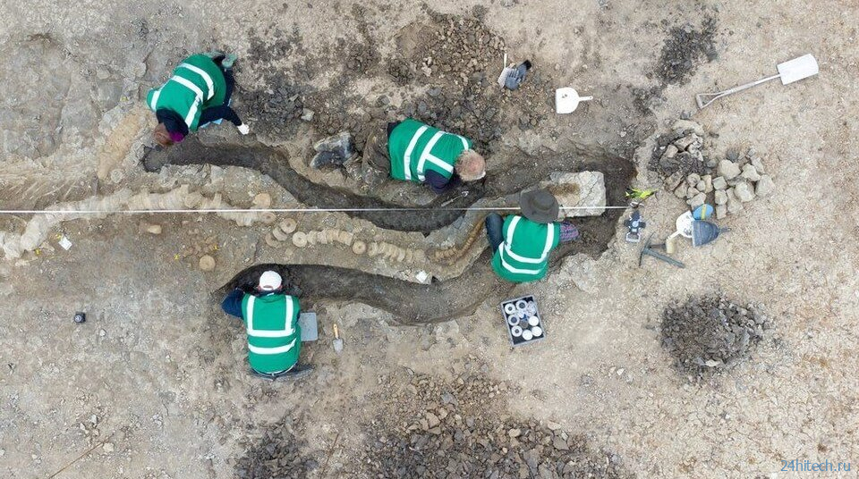 В Англии найден полный скелет «морского дракона» 10-метровой длины 