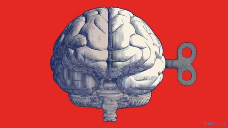 Мозг – это машина времени: почему мы живем с задержкой в 15 секунд? 