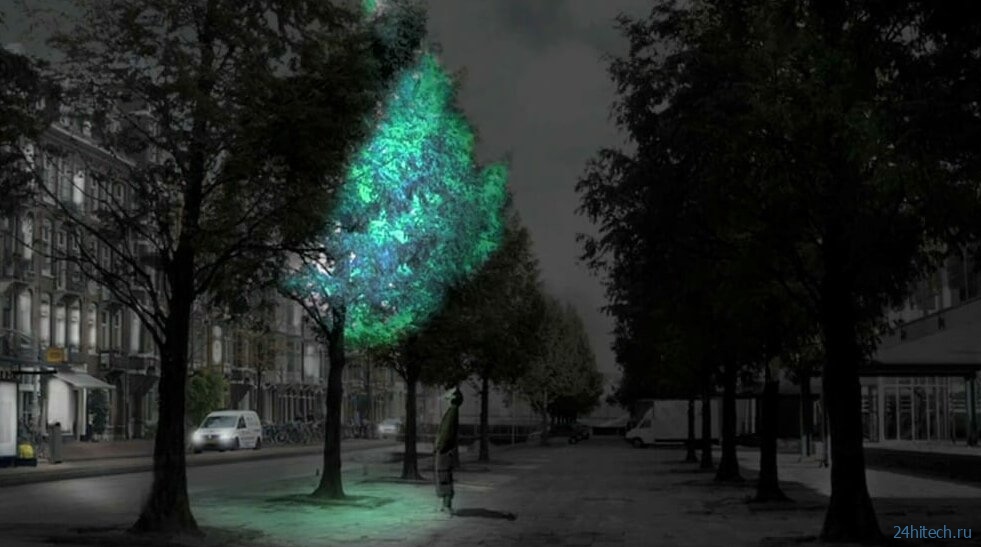 Освещение улиц при помощи светящихся деревьев — реально ли это? 