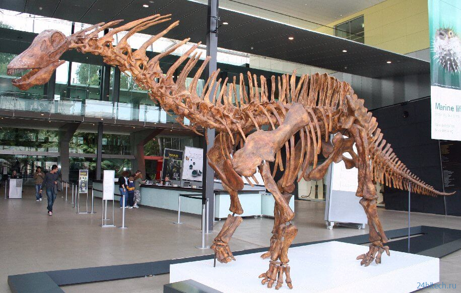 Ученые обнаружили окаменелости динозавра, болевшего респираторным заболеванием 