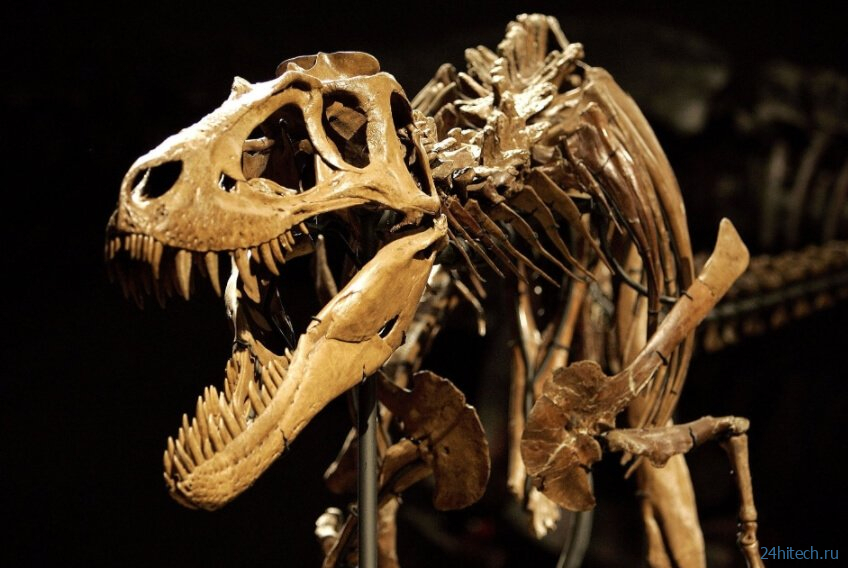 Как динозавры стали причиной появления легенд о драконах? 