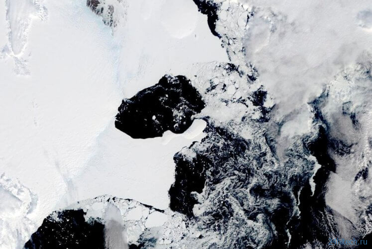 В Антарктиде обрушился в воду огромный шельфовый ледник — чем это грозит человечеству?